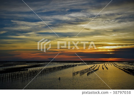 夕陽蚵棚 夕陽蚵棚 38797038