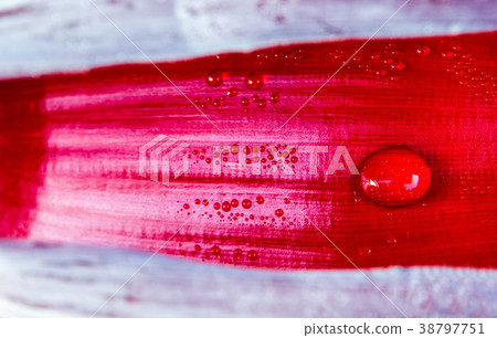 Water drop inside Silver bluggoe banana blossom Water drop inside Silver bluggoe banana blossom 38797751