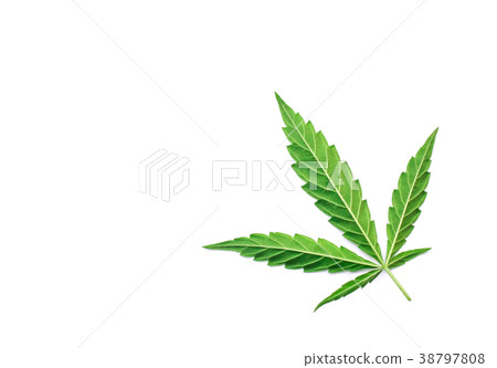 marijuana joint weed smoking close up marijuana joint weed smoking close up 38797808