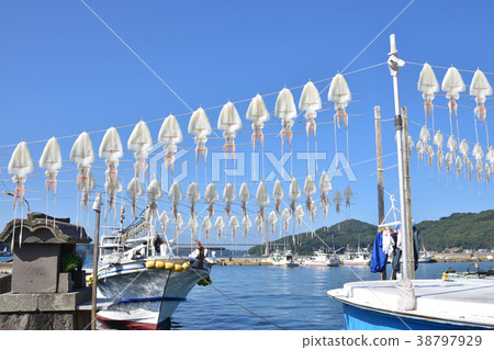著名的Yobuko漁港Surmeika 38797929