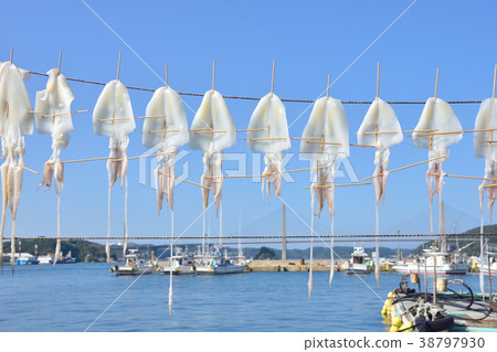 Famous Surmeika of Yobuko Fishing Port Famous Surmeika of Yobuko Fishing Port 38797930