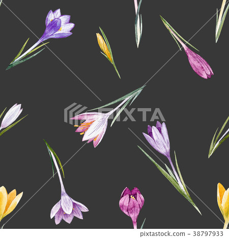 Watercolor crocus floral pattern 38797933