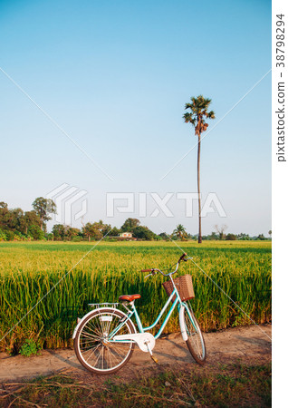 Green rice field and bicycle, Koh Tepo, Uthaithani Green rice field and bicycle, Koh Tepo, Uthaithani 38798294