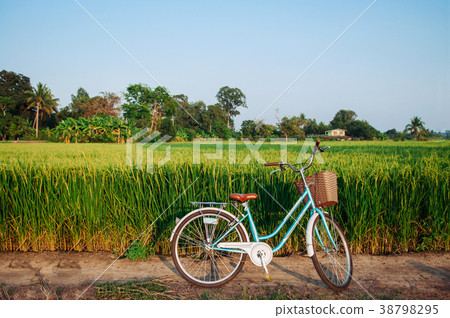 Green rice field and bicycle, Koh Tepo, Uthaithani Green rice field and bicycle, Koh Tepo, Uthaithani 38798295