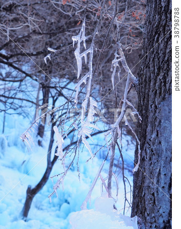 Ashigakubo Ice 2018 05 Ashigakubo Ice 2018 05 38798788