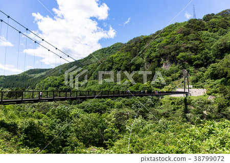 Nikko-shi, Tochigi Prefecture Kinu-Saiwa Large Suspension Bridge (June) 38799072