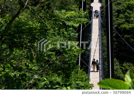 Nikko-shi, Tochigi Prefecture Kinu-Saiwa Large Suspension Bridge (June) 38799084