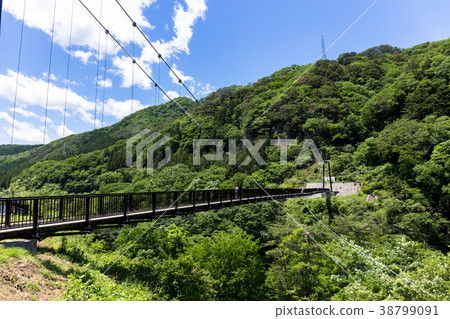 Nikko-shi, Tochigi Prefecture Kinu-Saiwa Large Suspension Bridge (June) Nikko-shi, Tochigi Prefecture Kinu-Saiwa Large Suspension Bridge (June) 38799091