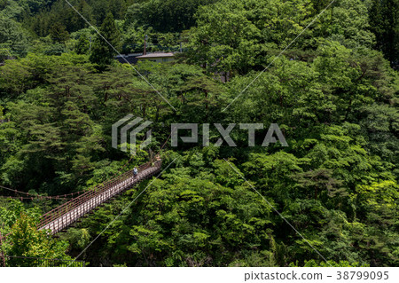 Nikko City, Tochigi Prefecture Kinugawa Takimi Bridge (June) 38799095
