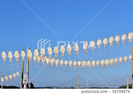 Famous Surmeika of Yobuko Fishing Port 38799879