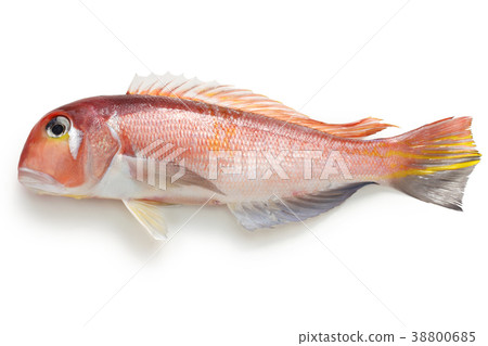 Sweet bream Sweet bream 38800685