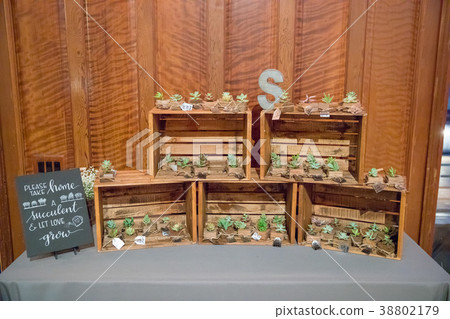 Succulents at Wedding Reception Succulents at Wedding Reception 38802179