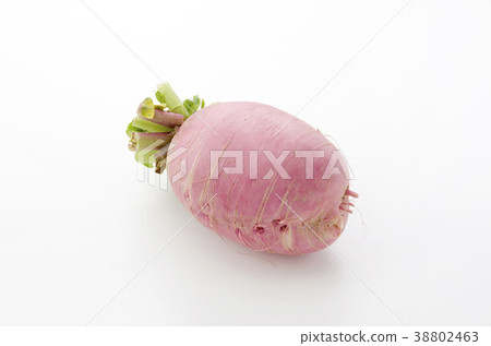 Red Crimson Radish Red Crimson Radish 38802463