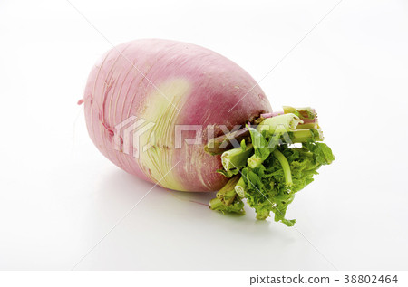 Red Crimson Radish Red Crimson Radish 38802464
