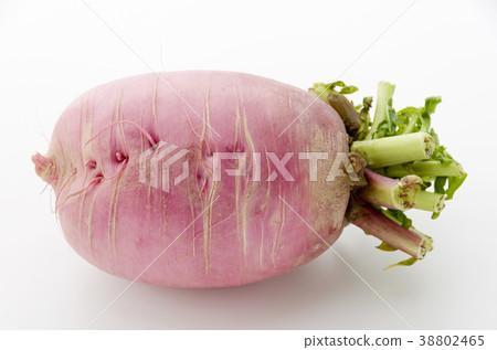 Red Crimson Radish Red Crimson Radish 38802465