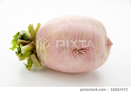 Red Crimson Radish Red Crimson Radish 38802472