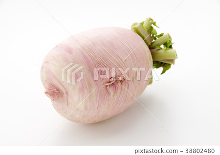 Red Crimson Radish Red Crimson Radish 38802480