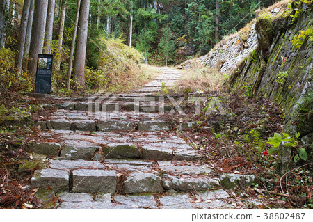 [日本的100個大城堡]岩村城一片無痕 38802487