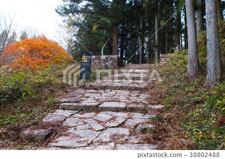[Japan's 100 Great Castles] Iwamura Castle Tokimon trace 38802488