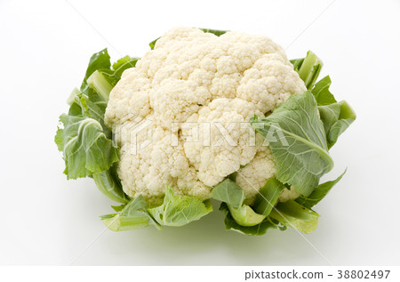 菜花 38802497