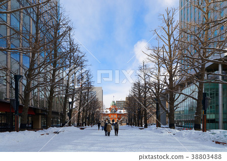 Snowy landscape of the former Hokkaido Government Office building Gingko lined trees 38803488