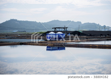 Yongjeon, Acehdo, Sinan County, Jeonnam 38804162