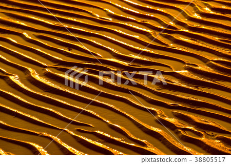 Tidal flat, Dongho beach, Gochang-gun, Jeonbuk 38805517