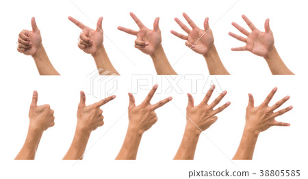 Sum 5 picture of Men hand in fron and back side with show number collection over white background, include clipping path Sum 5 picture of Men hand in fron and back side with show number collection over white background, include clipping path 38805585