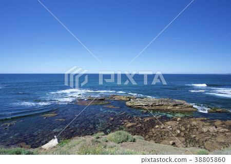 The coast of La Jolla in San Diego, California, USA 38805860