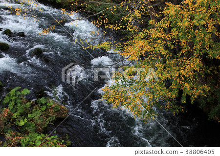 Autumn leaves from the Akan Takimi Bridge 38806405