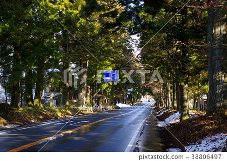Winter tree-lined path around Nikko National Route 119 Nikko Station a Winter tree-lined path around Nikko National Route 119 Nikko Station a 38806497