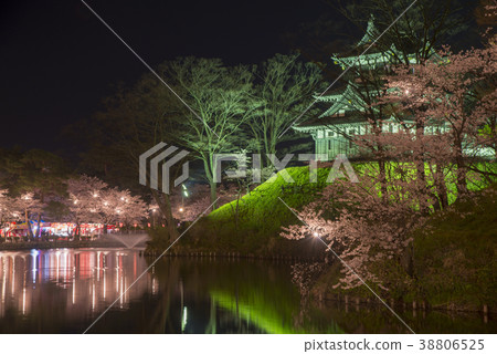 Cherry blossoms at Takada castle at night 38806525