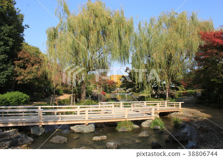 大仙公園 大仙公園 38806744