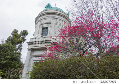Tokyo National Museum and Koume Tokyo National Museum and Koume 38807205