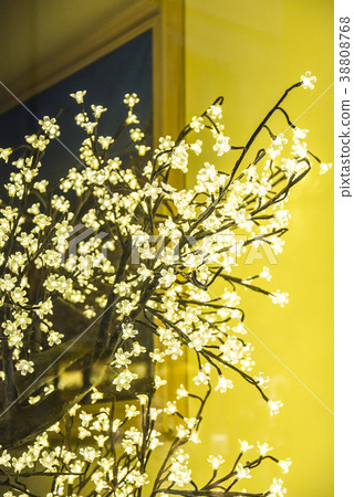 白花的光 38808768