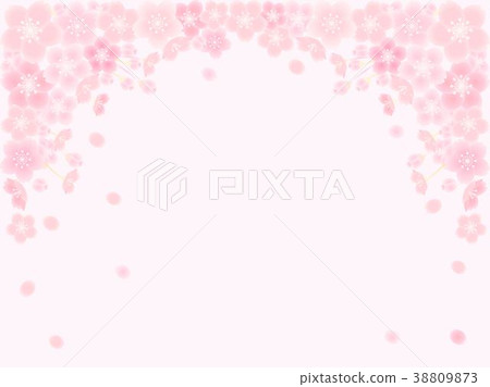 Sakura 6 38809873