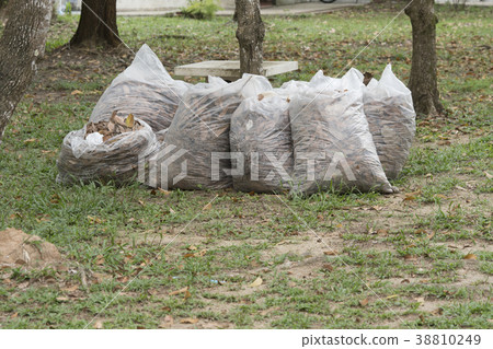 Pile of full white garbage bags on the grass Pile of full white garbage bags on the grass 38810249