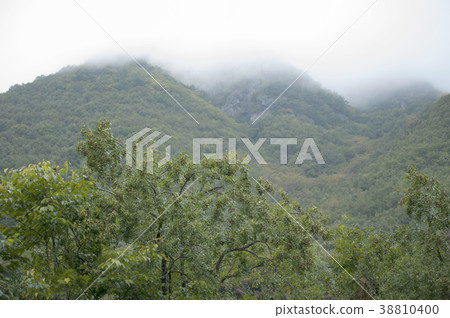 Mountain, Yeongwol-gun, Gangwon-do 38810400