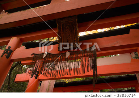 Kyoto Prefecture Fushimi Inari Taisha Torii 5 38810714