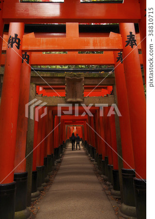 Kyoto Prefecture Fushimi Inari Taisha Torii 6 38810715