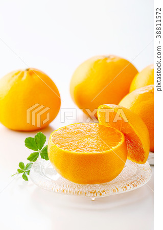 Seto fruit 38811572