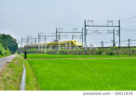 奧達和黃醫生 奧達和黃醫生 38811636