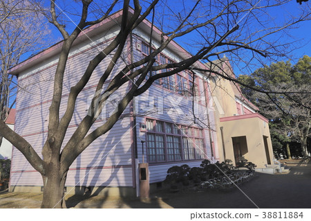 [Tokyo] Fuchu-shi native forest, former Fuchu Chihiro Toshio Elementary School high school building 38811884