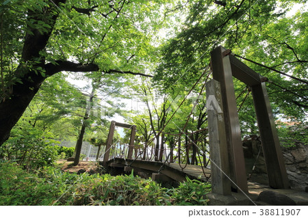 Adachi-ku Kita Ayase Shabu-numa Park Ayatari Bridge 38811907
