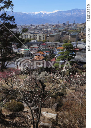 [Yamanashi Prefecture] South Alps and Kofu Basin of snowfall seen from Kofu city Feroen 38812229