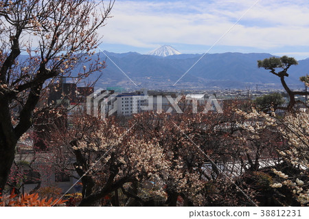 [山梨縣]從甲府市Feroen看到的富士山和甲府盆地 38812231