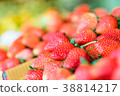 Fresh strawberry from farm in Northern Thailand 38814217