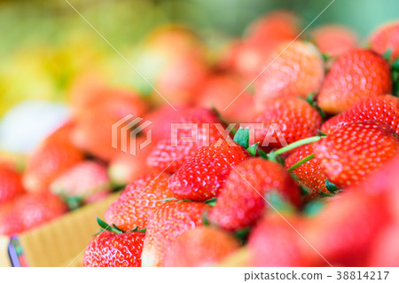 Fresh strawberry from farm in Northern Thailand Fresh strawberry from farm in Northern Thailand 38814217