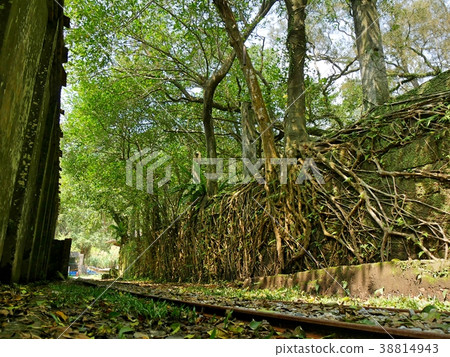 石底大坡礦（圖紙線） 38814943