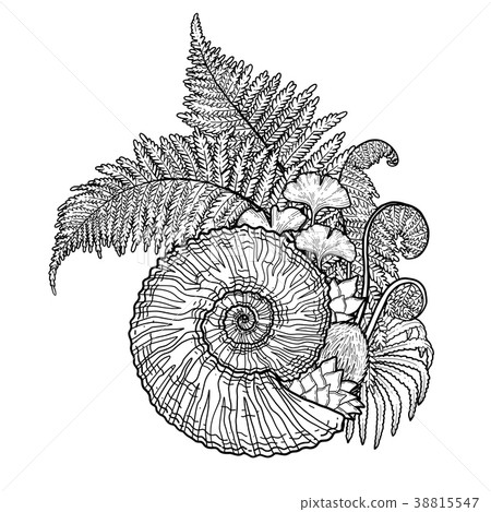 Prehistoric graphic seashell and fern branches Prehistoric graphic seashell and fern branches 38815547
